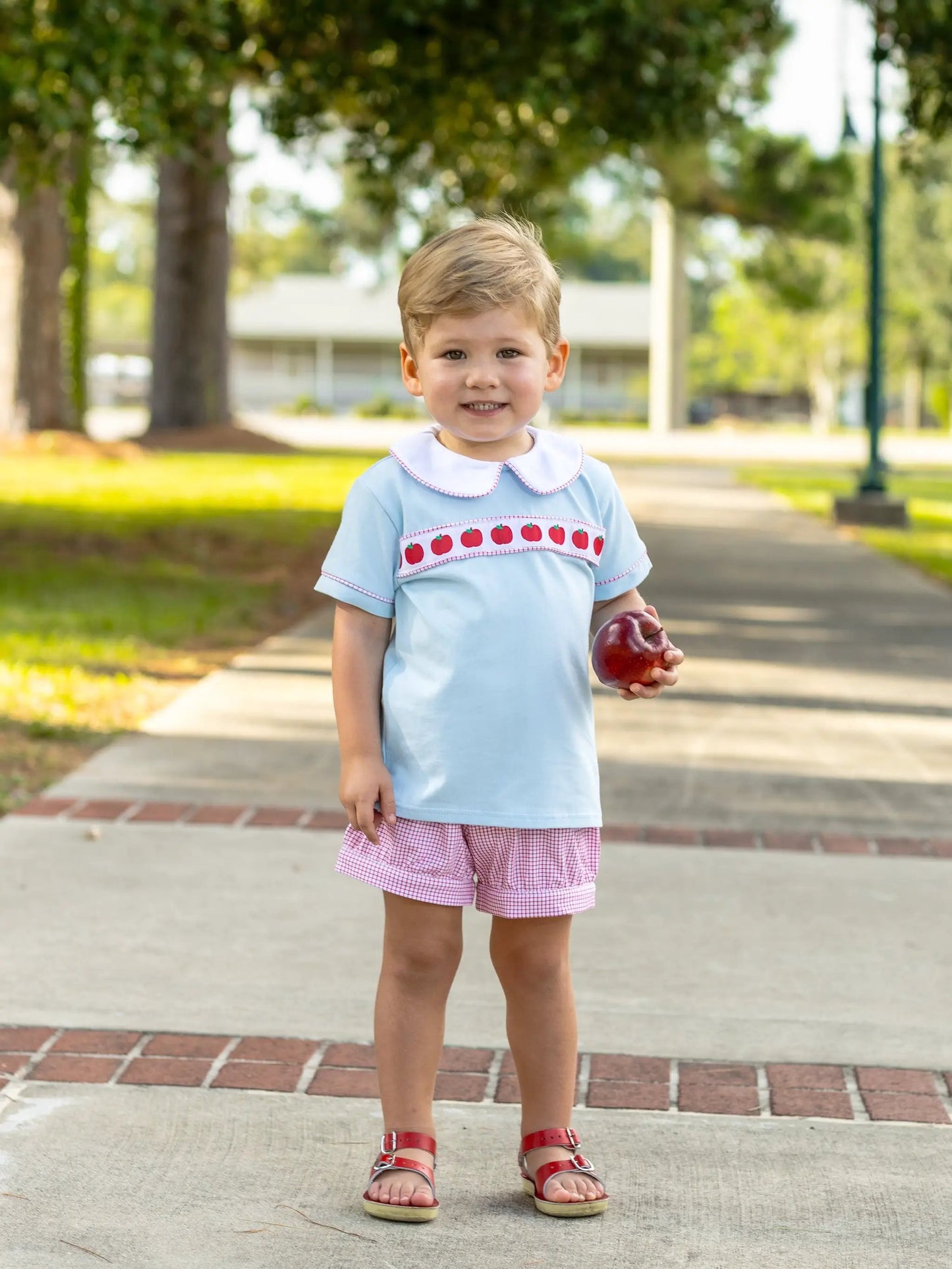 Trotter Street Kids Boys Blue Banded Shorts Set - Red Apple Ribbon