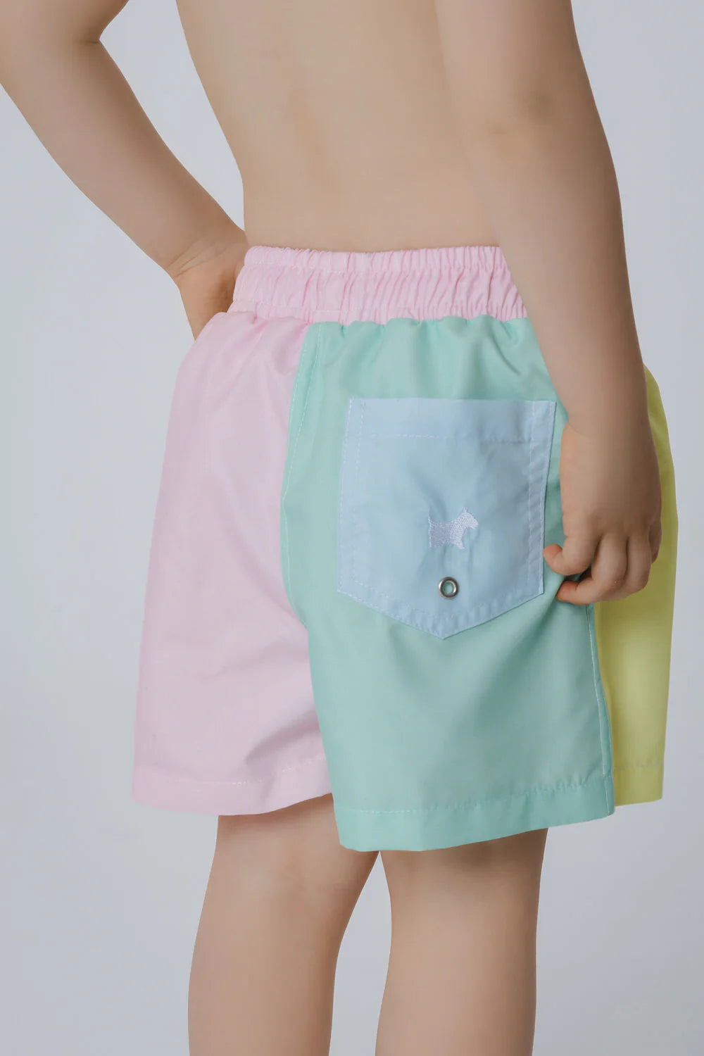 Sal & Pimenta Boys Swim Trunks - Dreamland Color Block - Pastels