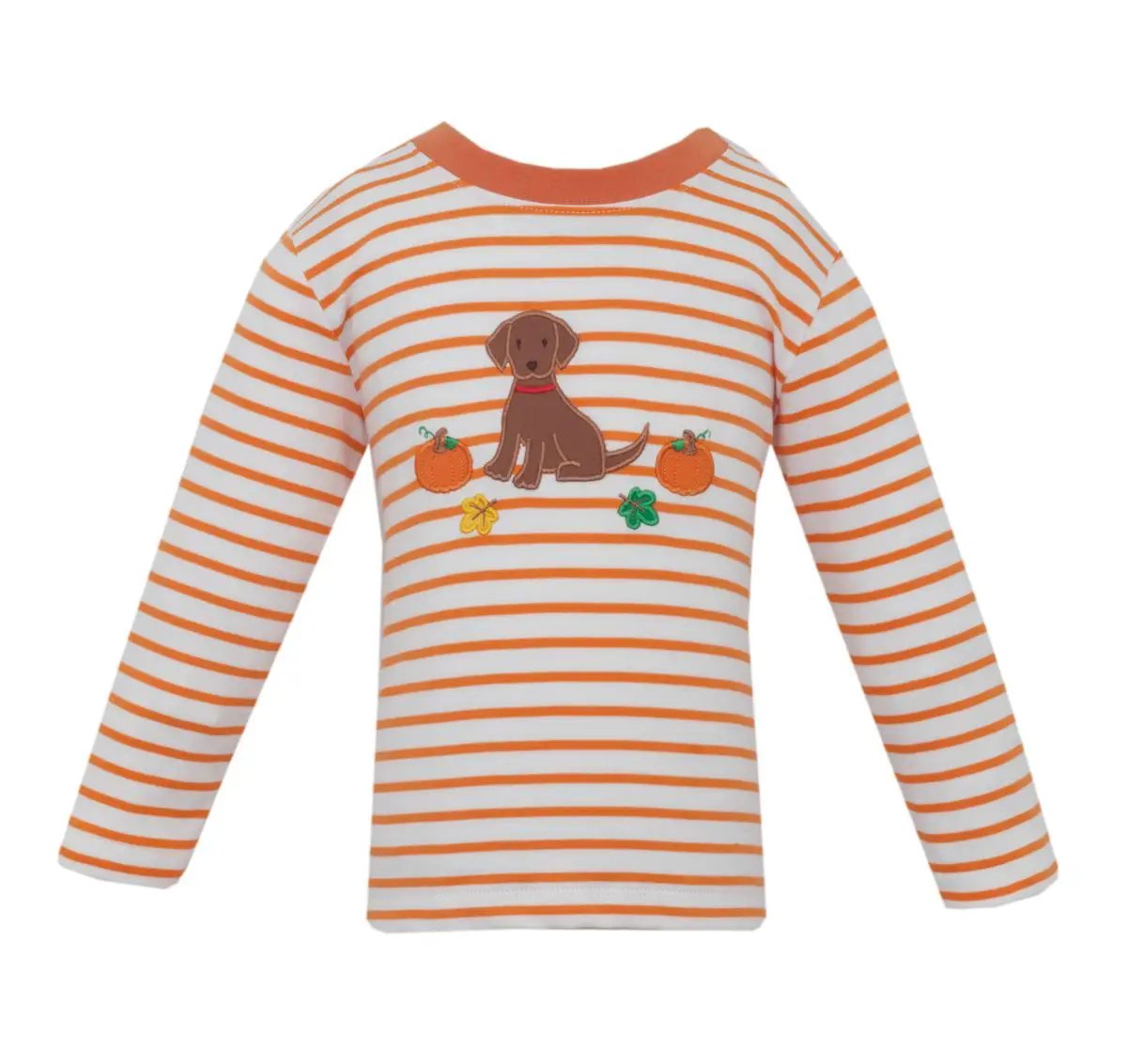 Claire & Charlie Boys Orange Stripe Knit Long Sleeve Tee Shirt - Fall Puppy