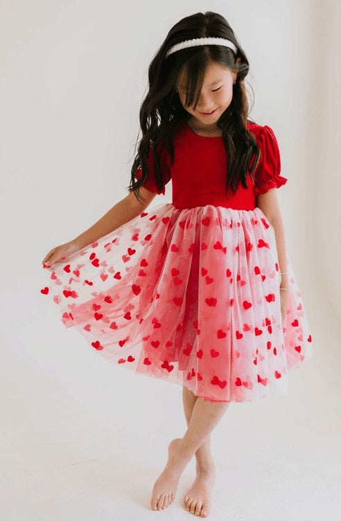 Ollie Jay Girls Red Rose Dress Tulle Valentine Hearts – Best