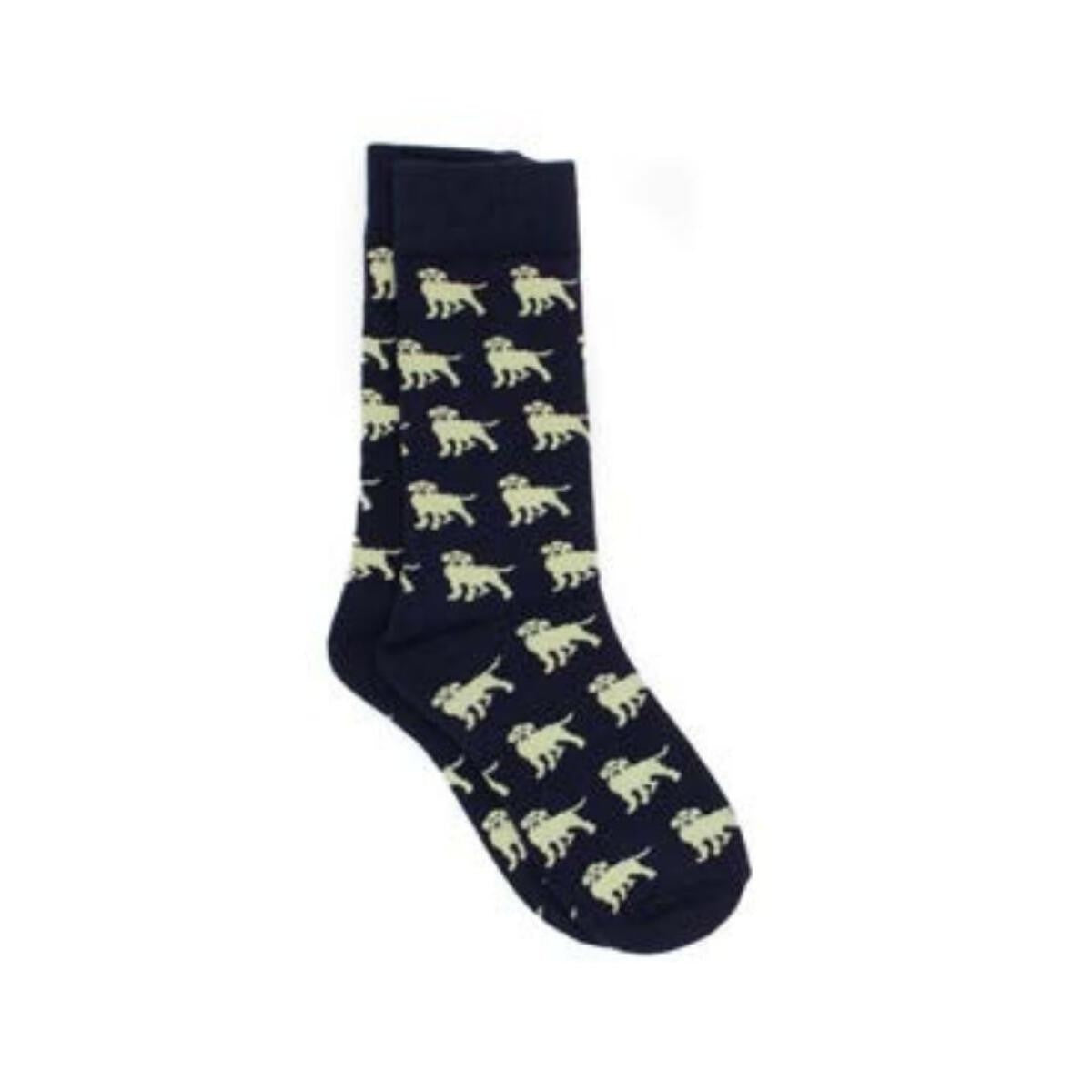 Properly Tied Boys Lucky Duck Socks - Golden Labrador Retriever Dog
