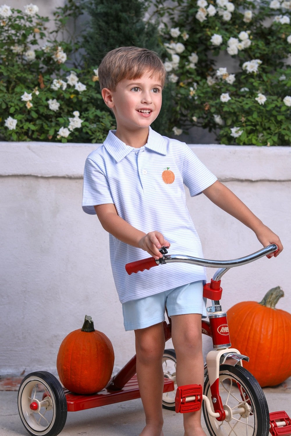 Trotter Street Kids Boys Shirt - Blue Pumpkin Patch Polo