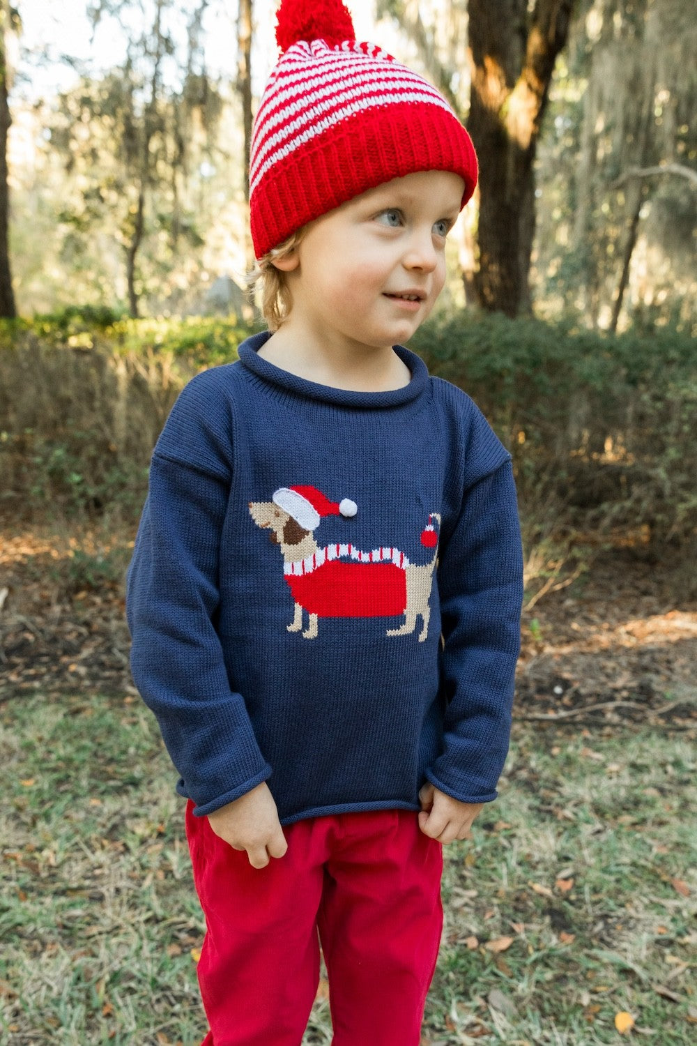 Bailey Boys Roll Neck Sweater - Navy Blue - Santa Doxie Dog by Bailey Boys