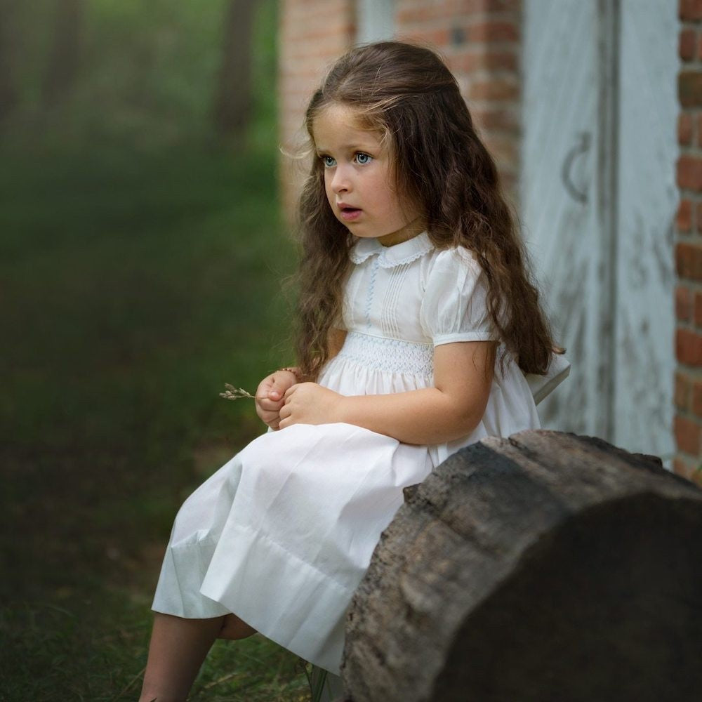 Feltman Brothers Baby / Toddler Girls Ivory Vintage Dress - Smocked in Blue