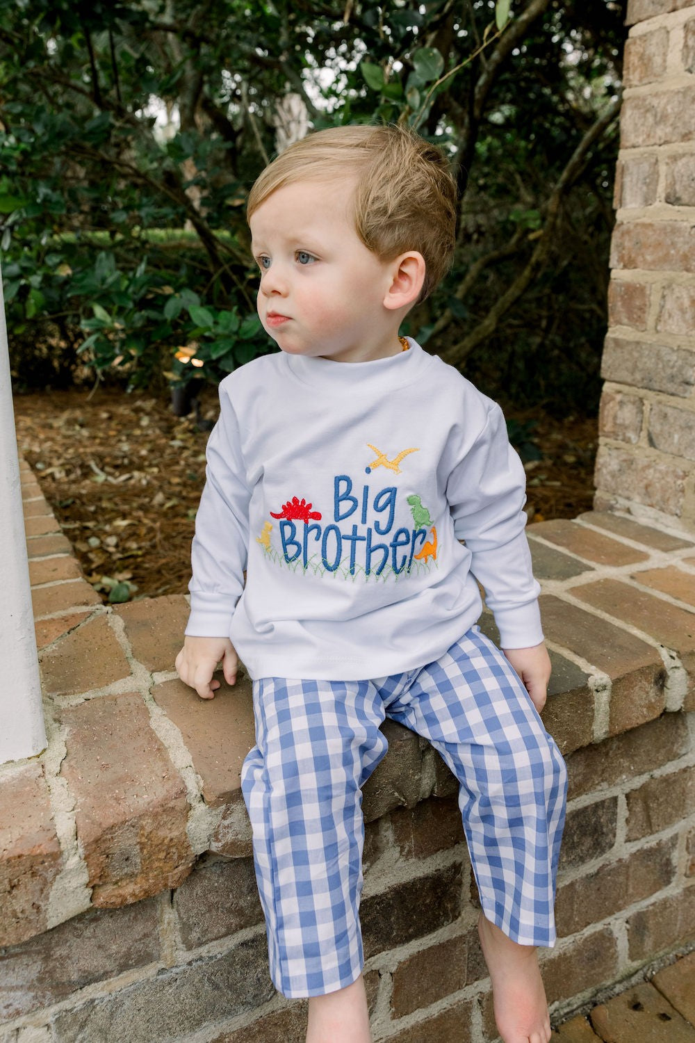 Bailey Boys Toddler Big Brother Shirt - White - Long Sleeves - Dinosaurs by Bailey Boys