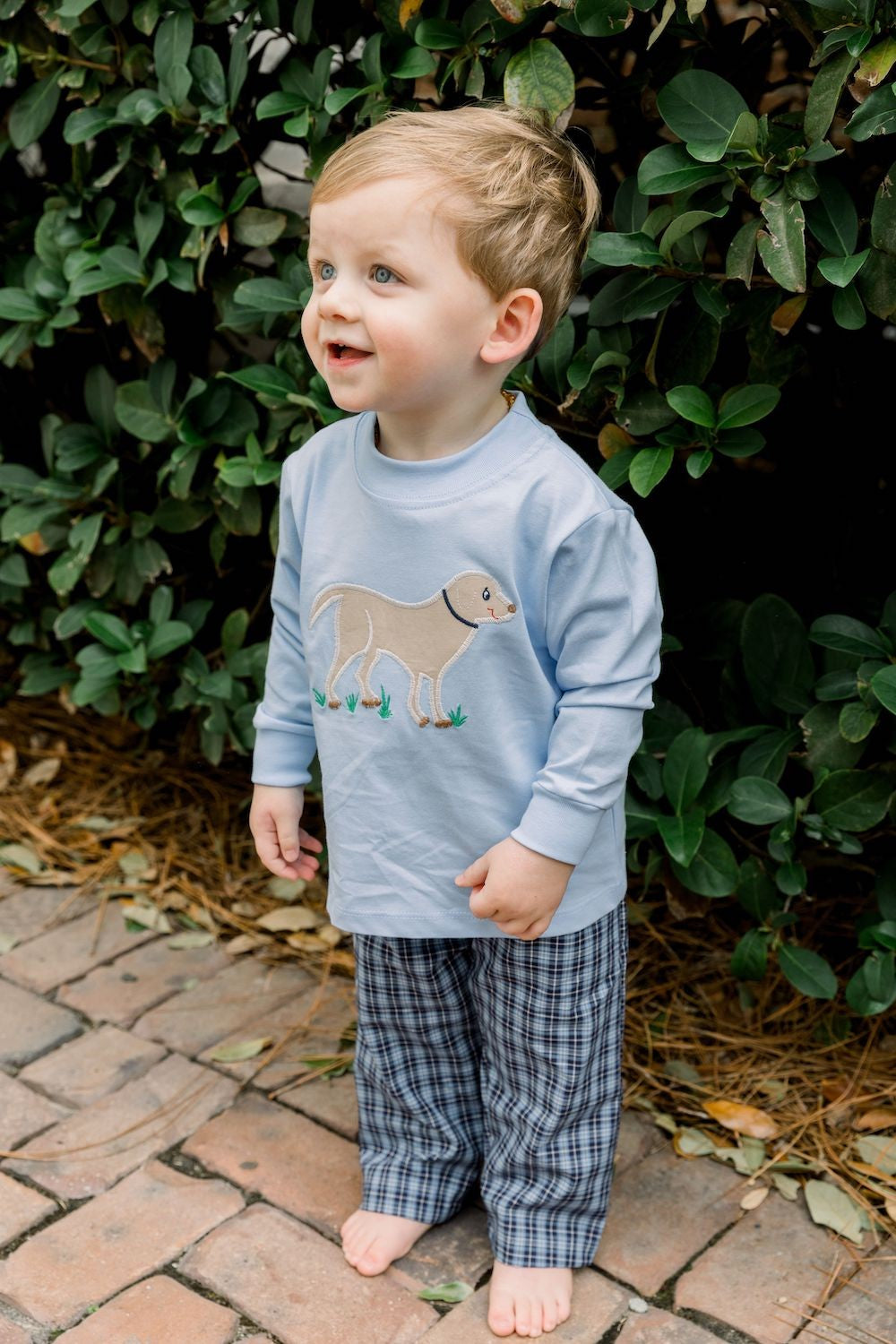 Bailey Boys Pants Set - Blue Plaid with Applique Dog Shirt