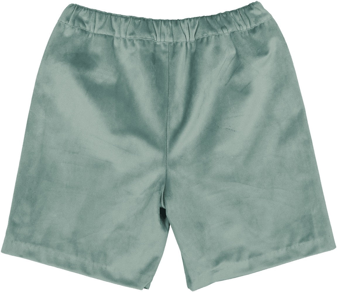 Sal & Pimenta Boys Dressy Shorts - Velvet - Forest Sage Green