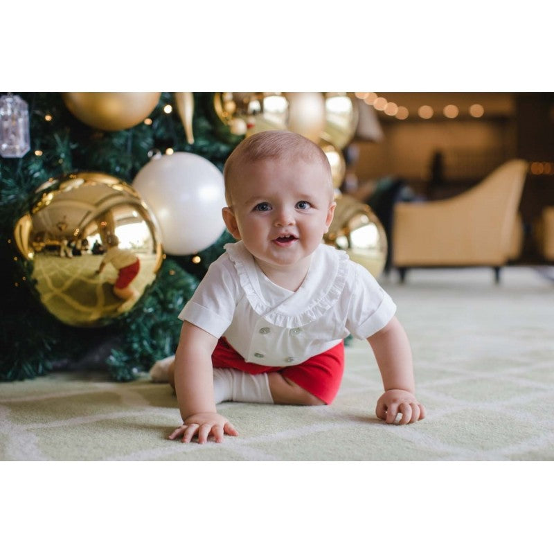 Sal & Pimenta Baby / Toddler Boys Dressy Set - Red Velvet