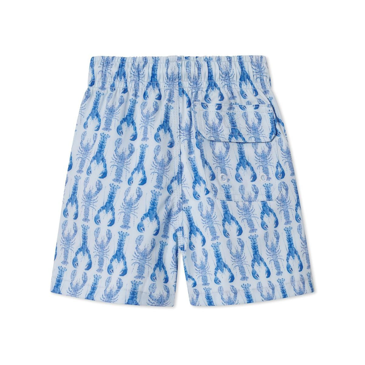 Classic Prep Boys Ford Swim Trunks - Blue Gingham Lobsters