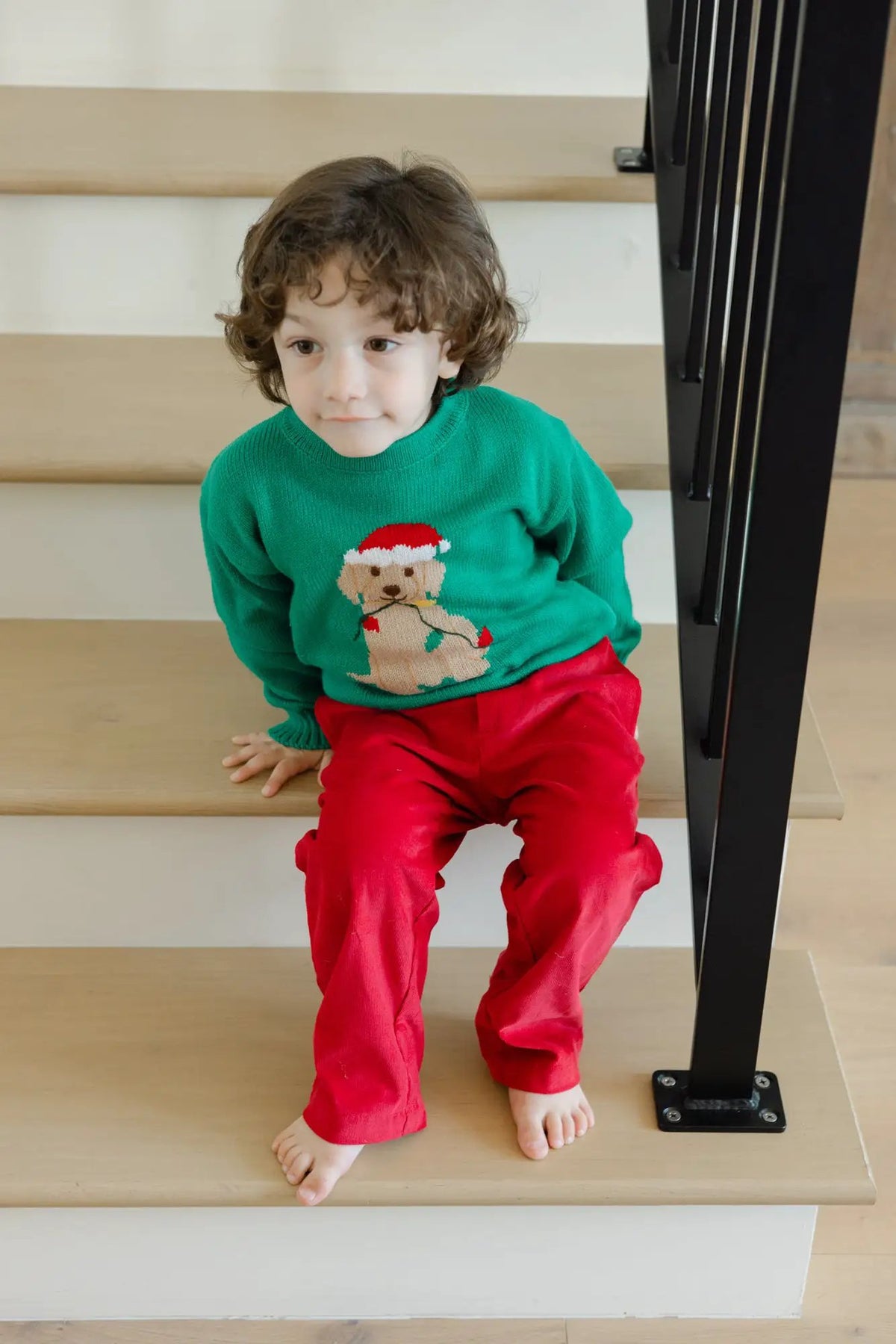Bailey Boys Christmas Labrador Dog Crew Neck Sweater - Green