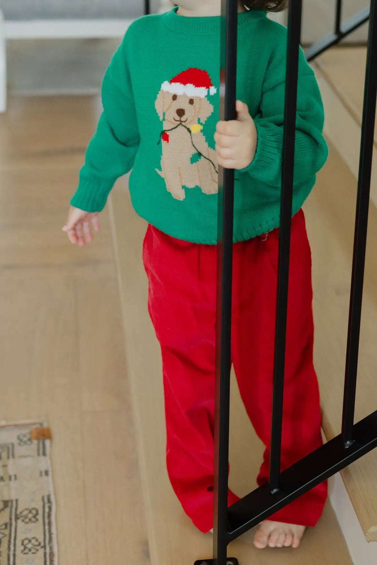 Bailey Boys Christmas Labrador Dog Crew Neck Sweater - Green by Bailey Boys