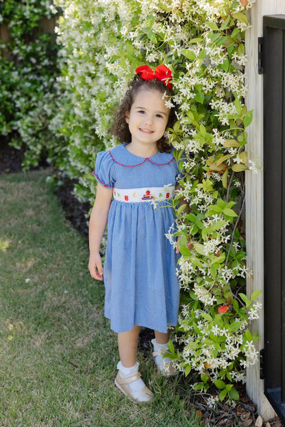 Bailey Boys Girls Blue Check Smocked School ABC Dress by Bailey Boys