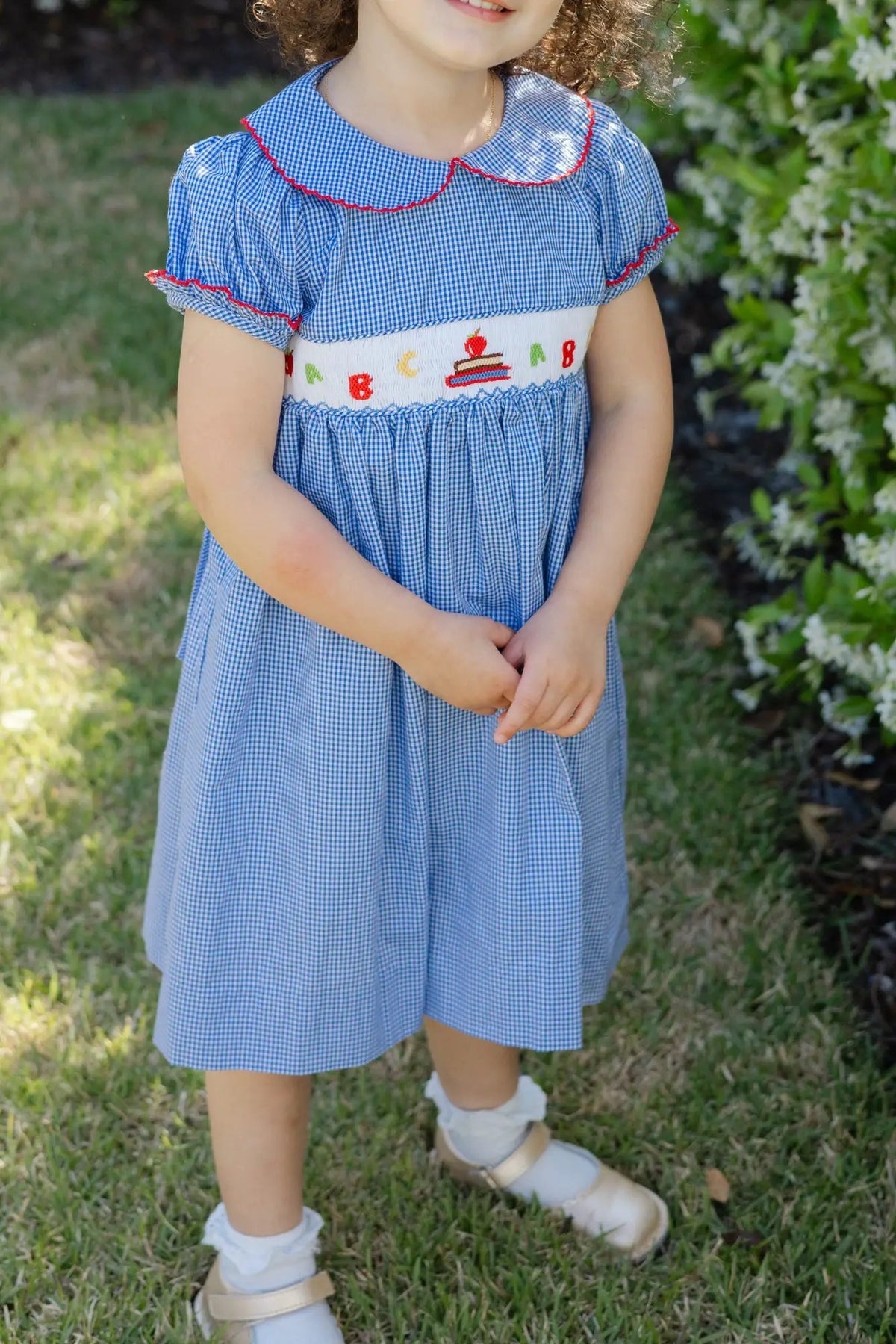 Bailey Boys Girls Blue Check Smocked School ABC Dress by Bailey Boys