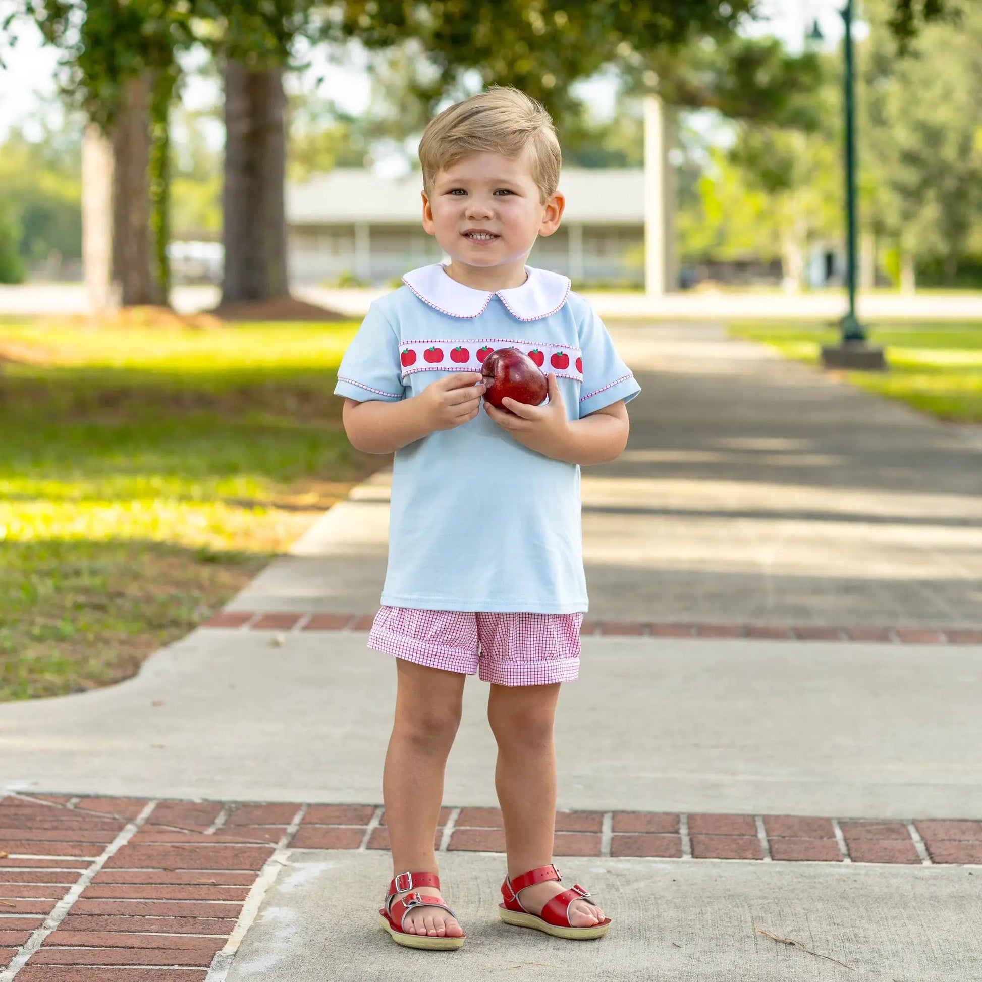 Trotter Street Kids Boys Blue Banded Shorts Set - Red Apple Ribbon