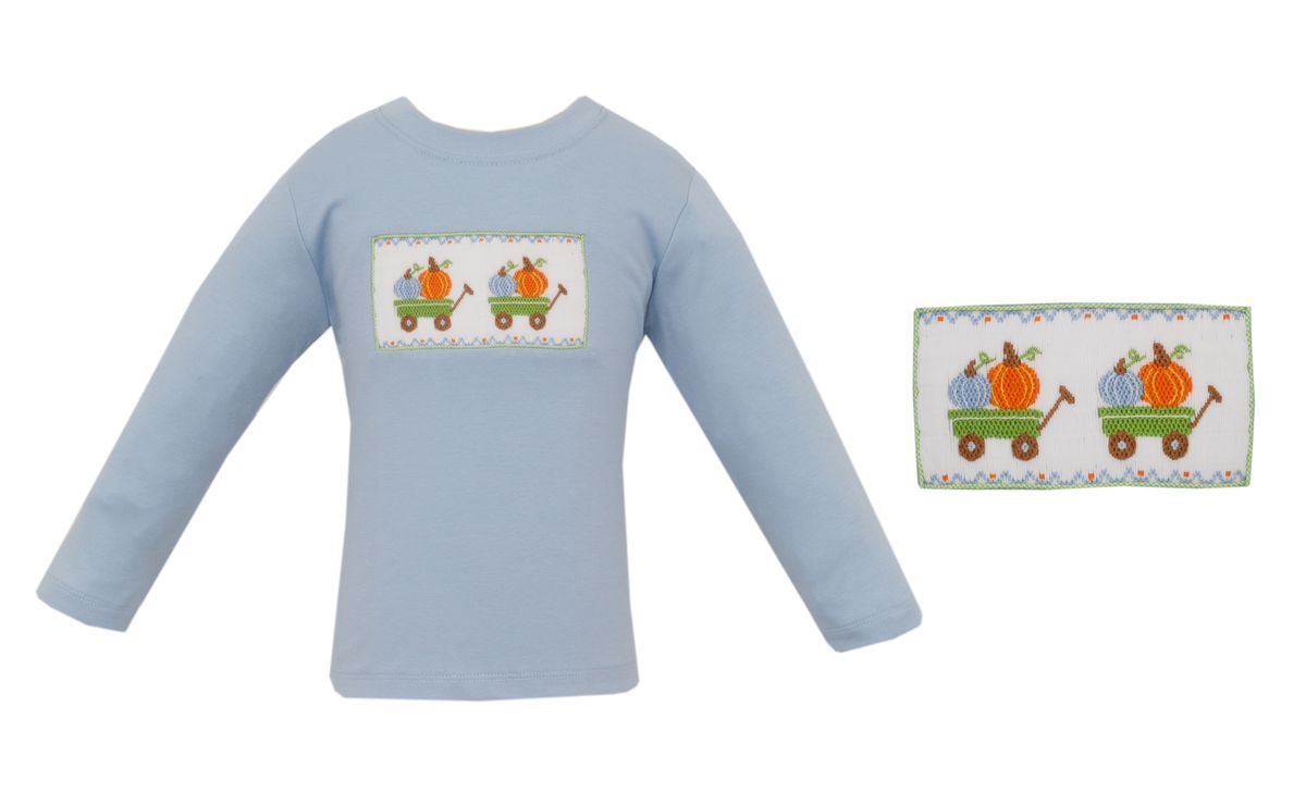 Anavini Boys Light Blue Knit Pumpkin Long Sleeve Tee Shirt