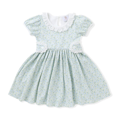 Swoon Baby Girls Blue Floral Gwen Tab Dress - Ruffle Collar