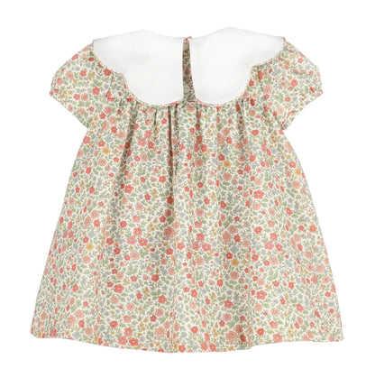 Sophie & Lucas Girls Orange Storybook Vintage Scallop Dress