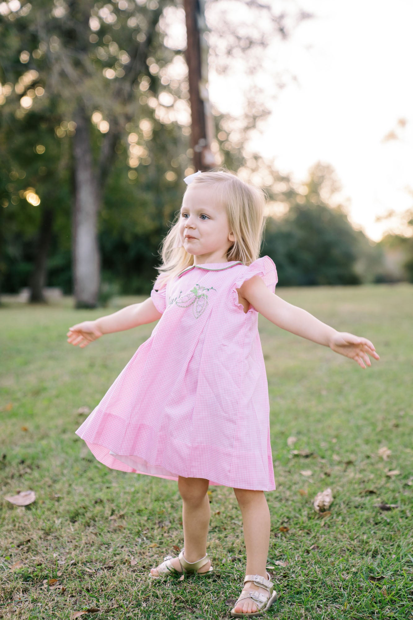 Proper Peony Girls Pink Sweet Pea Dress by Proper Peony