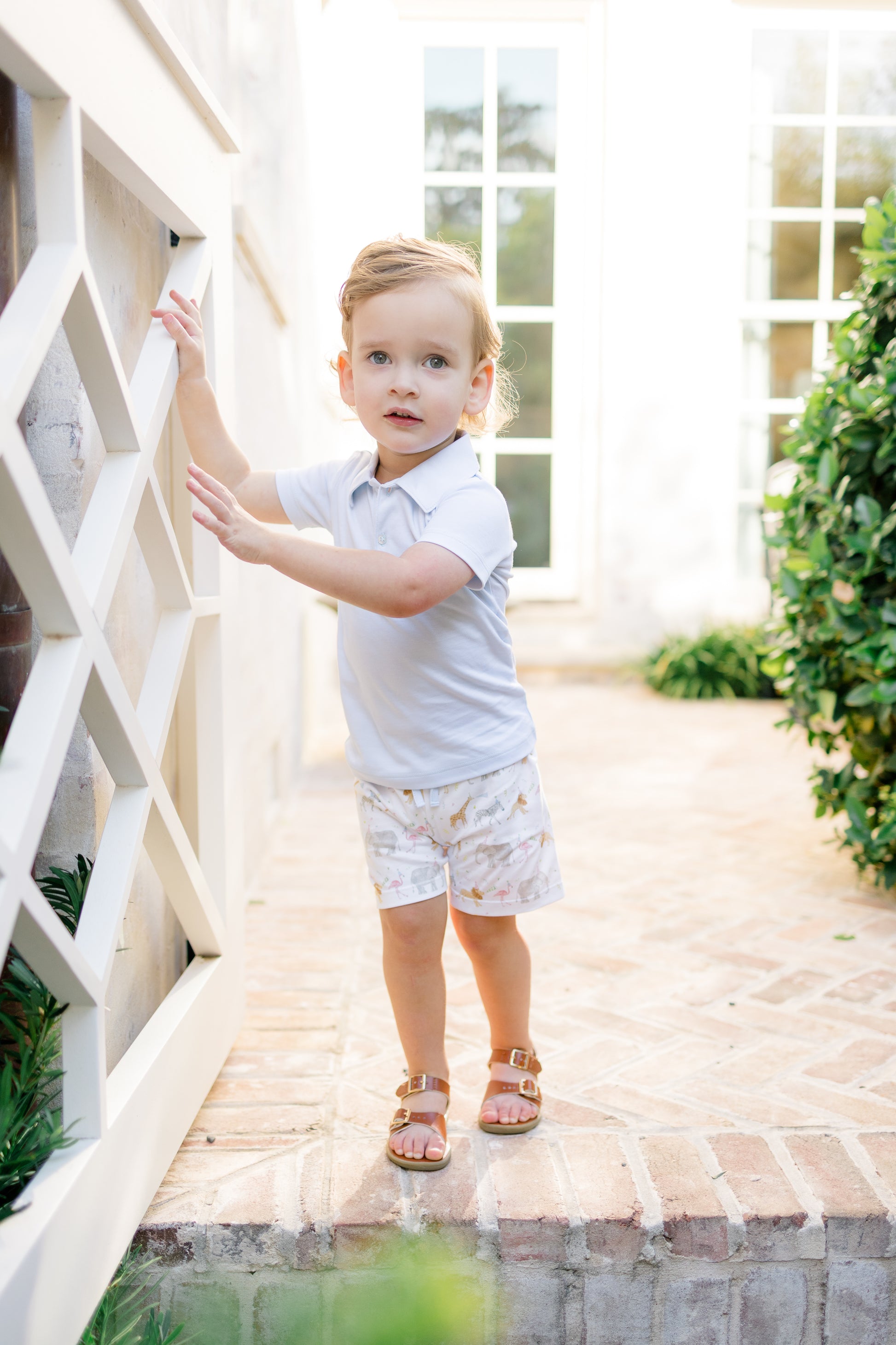 Proper Peony Pima Boys Shorts - Party Animals