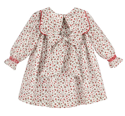 Sophie & Lucas Girls Red Winterberry Dress
