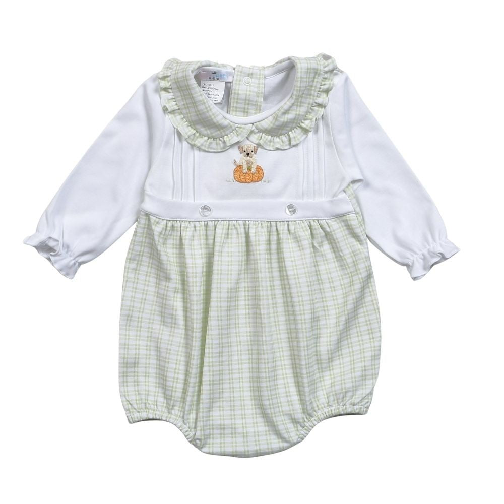 Baby Loren Green Pumpkin & Puppy Dog Bubble - Girls