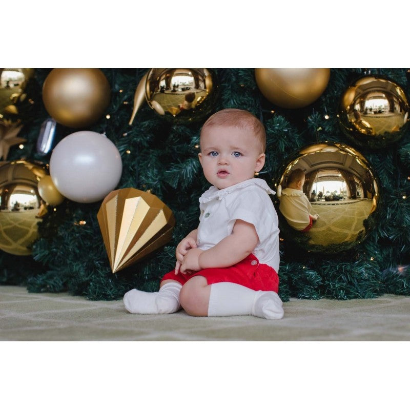 Sal & Pimenta Baby / Toddler Boys Dressy Set - Red Velvet