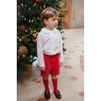 Sal & Pimenta Boys Dressy Shorts - Red Velvet